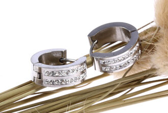 Náušnice kroužky dva pruhy chirurgická ocel