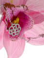 Náramek Silver Flower rhodiovaný se zirkony