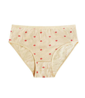 Dámské klasické kalhotky 3XL-5XL RŮŽE 3 ks