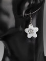 Fashion Jewelry náušnice hvězdy z paua perleti