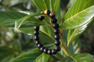 Kombinovaný pánský náramek (láva,tygří oko)