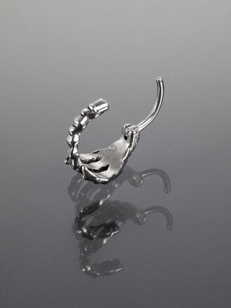 Helix piercing do ucha chirurgická ocel, motiv orlí spár