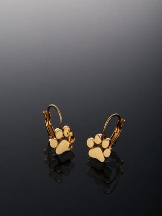 Náušnice z chirurgické oceli packa zlatá