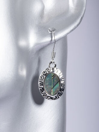Fashion Jewelry náušnice oválek s tepaným rámečkem, zdobeno paua perletí