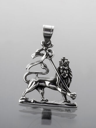 Masivní stylový přívěsek z chirurgické oceli lev 2