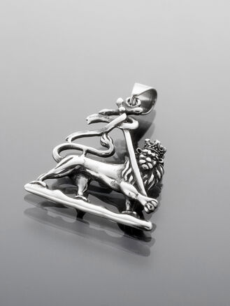 Masivní stylový přívěsek z chirurgické oceli lev 2